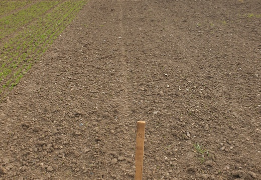 (1) ASTRONAUTE - 28.4.2023