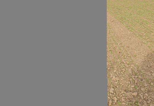 (1) OLIVER - 28.4.2023