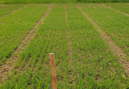 (2) BENTE - 15.5.2023