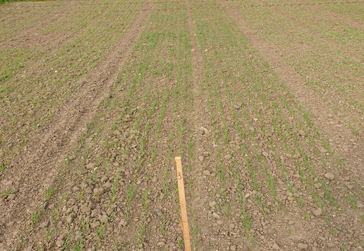 (1) TOMCAT - 28.4.2023