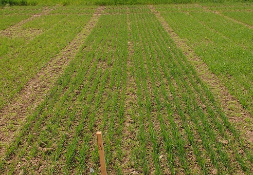 (2) TOMCAT - 15.5.2023