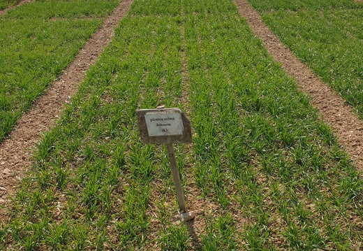 (6) JOHNSON - 14.04.2022