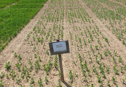 (3) ASTRONAUTE - 13.05.2022